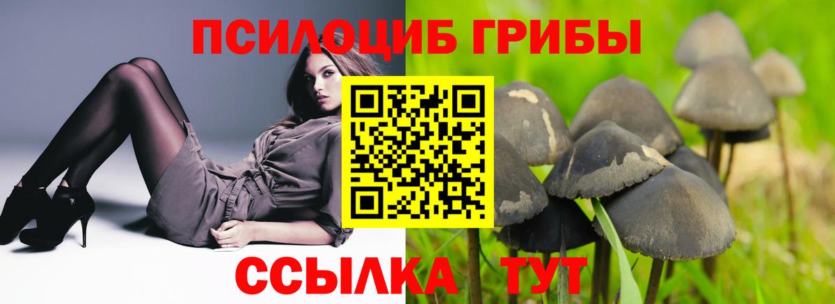 Псилоцибиновые грибы MAGIC MUSHROOMS Белорецк